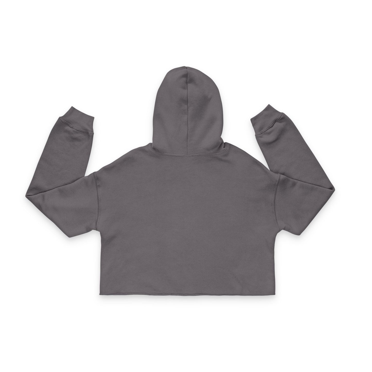 LP Cropped Hoodie